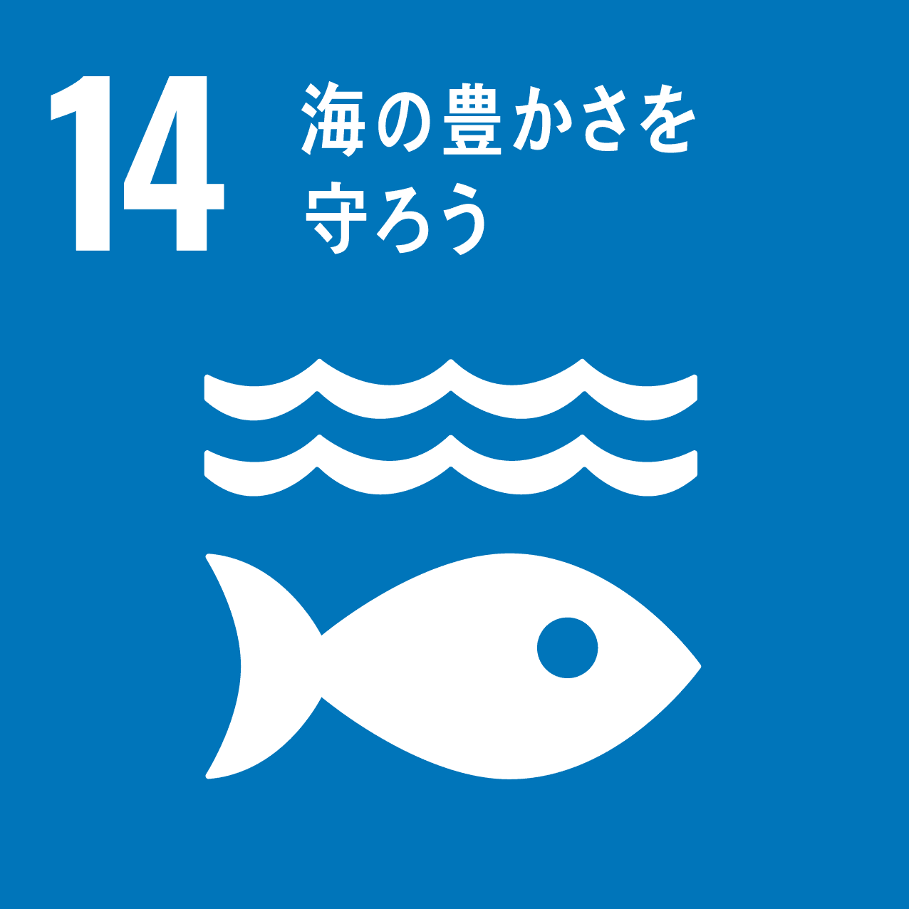 14_sea